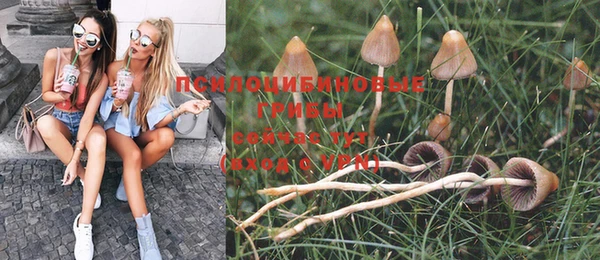 индика Алексеевка