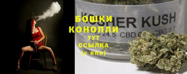 спайс Алексин