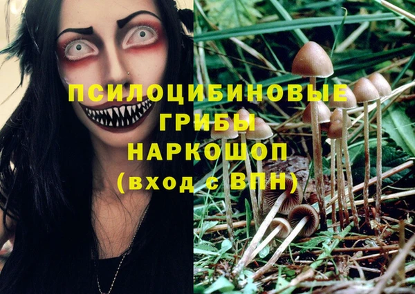 МДПВ Алзамай
