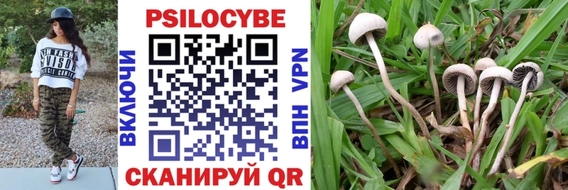 Псилоцибиновые грибы мухоморы  Купить где  Сысерть 